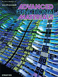 Advanced Functional Materials, 21, 4019-4027 (2011). 画像