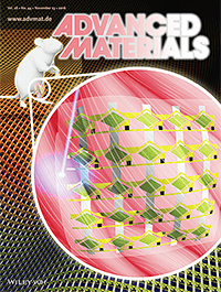 Advanced Materials, 28, 9722-9728 (2016).画像